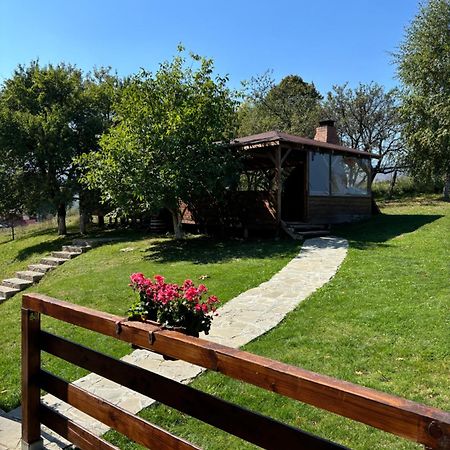 Transylvanian House Drumu Carului Bagian luar foto