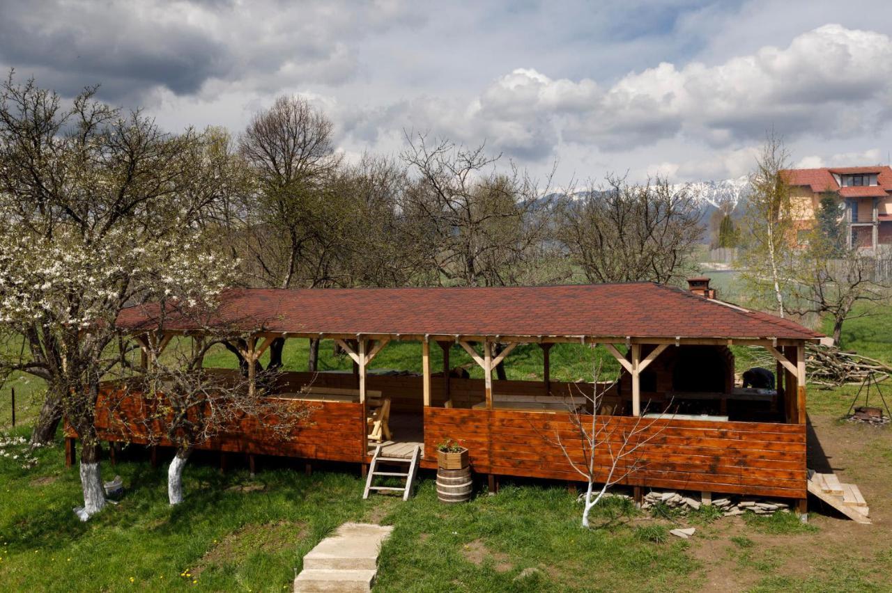 Transylvanian House Drumu Carului Bagian luar foto